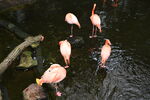 DSC_9174.JPG